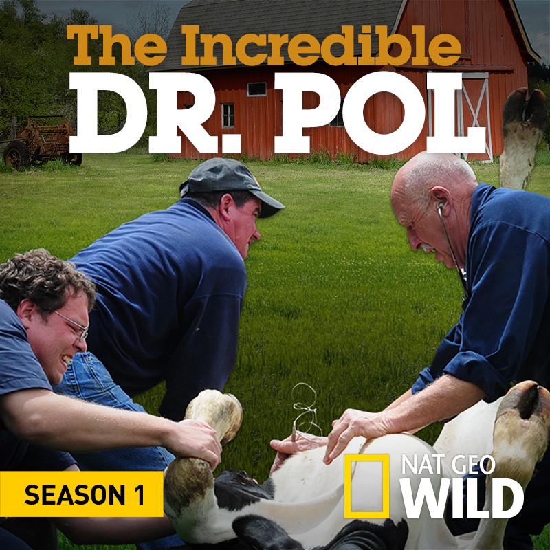 Pol Veterinary Services Dr Pol Veterinary Services Super