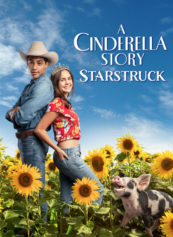 洋書 the Movie Stars Story The Movie Stars Story: Robyn Karney: 9780517437360: Amazon