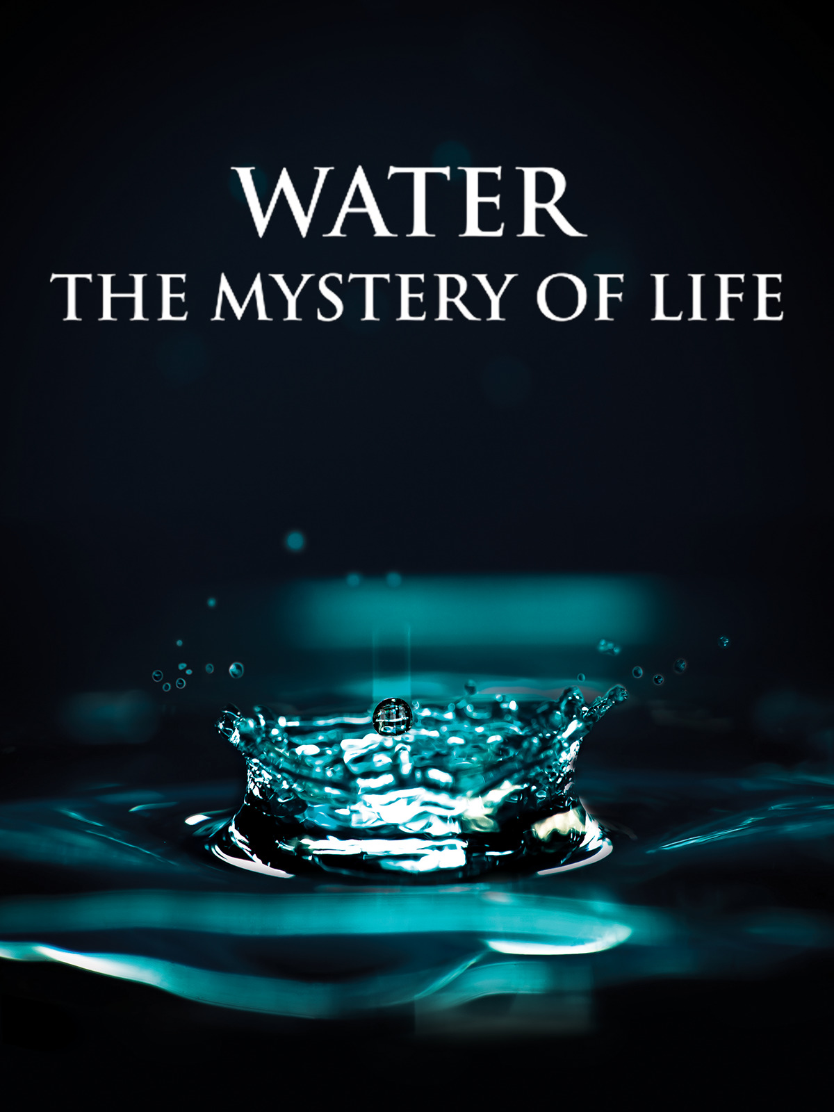 Amy Bradley: The Open Water Mystery That'S Gripped The Nation - eg44k2e