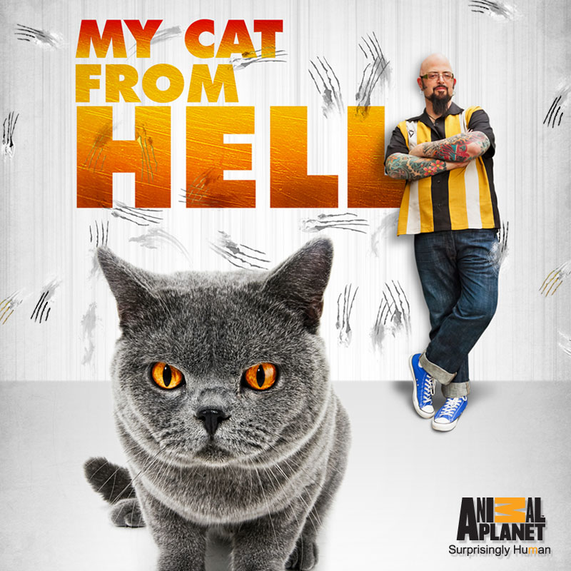 Feral Cats My Cat From Hell Full Episodes Free Online Animal