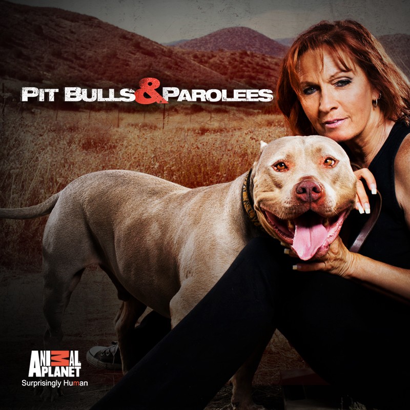 Pit Bulls Parolees Tia Torres Season 18