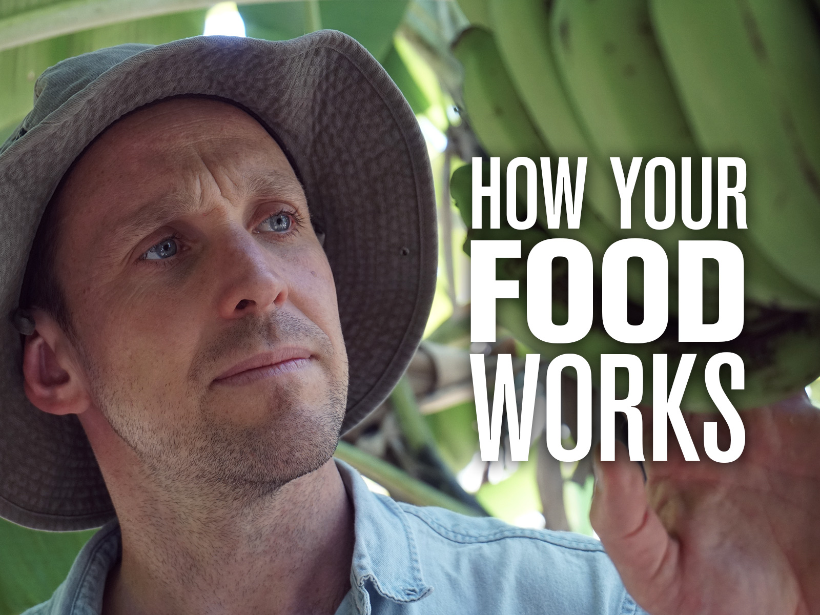 How Your Food Works Buy, watch, or rent from the Microsoft Store