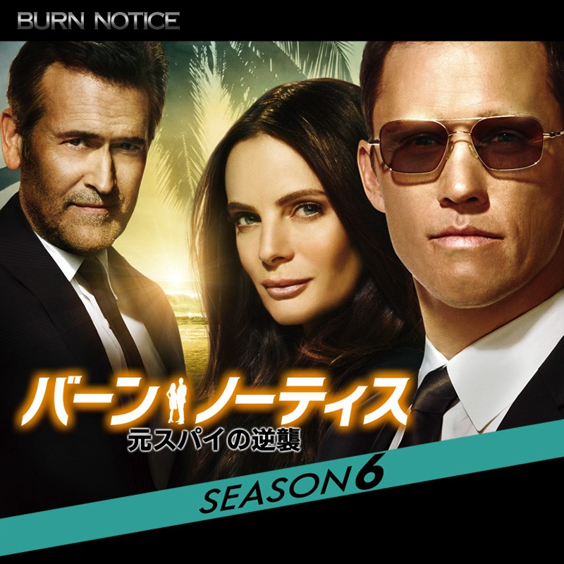 ：海外ドラマ『バーン・ノーティス』DVD シーズン5・6・7（完結） 全話セット Amazon.co.jp: バーン・ノーティス 元スパイの逆襲 コンプリート