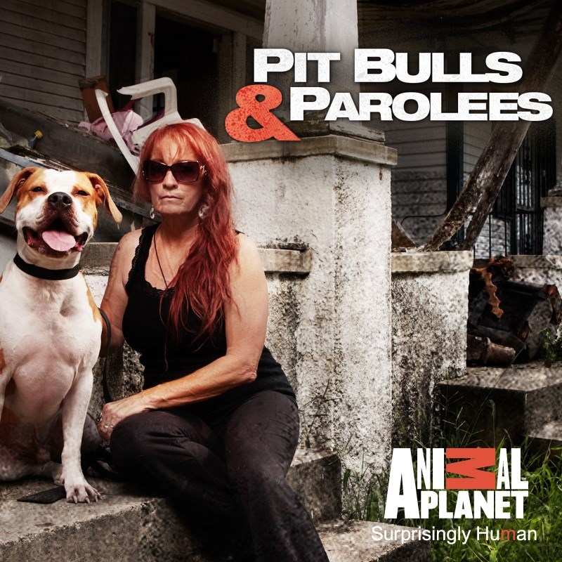 Tia Torres Pitbulls And Parolees Leash Pitbull And Parolees Tia