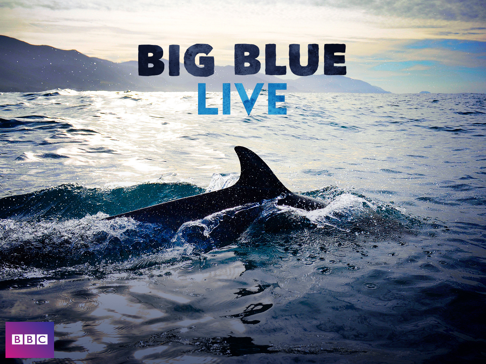Big Blue - Buy, watch, or rent from the Microsoft Store