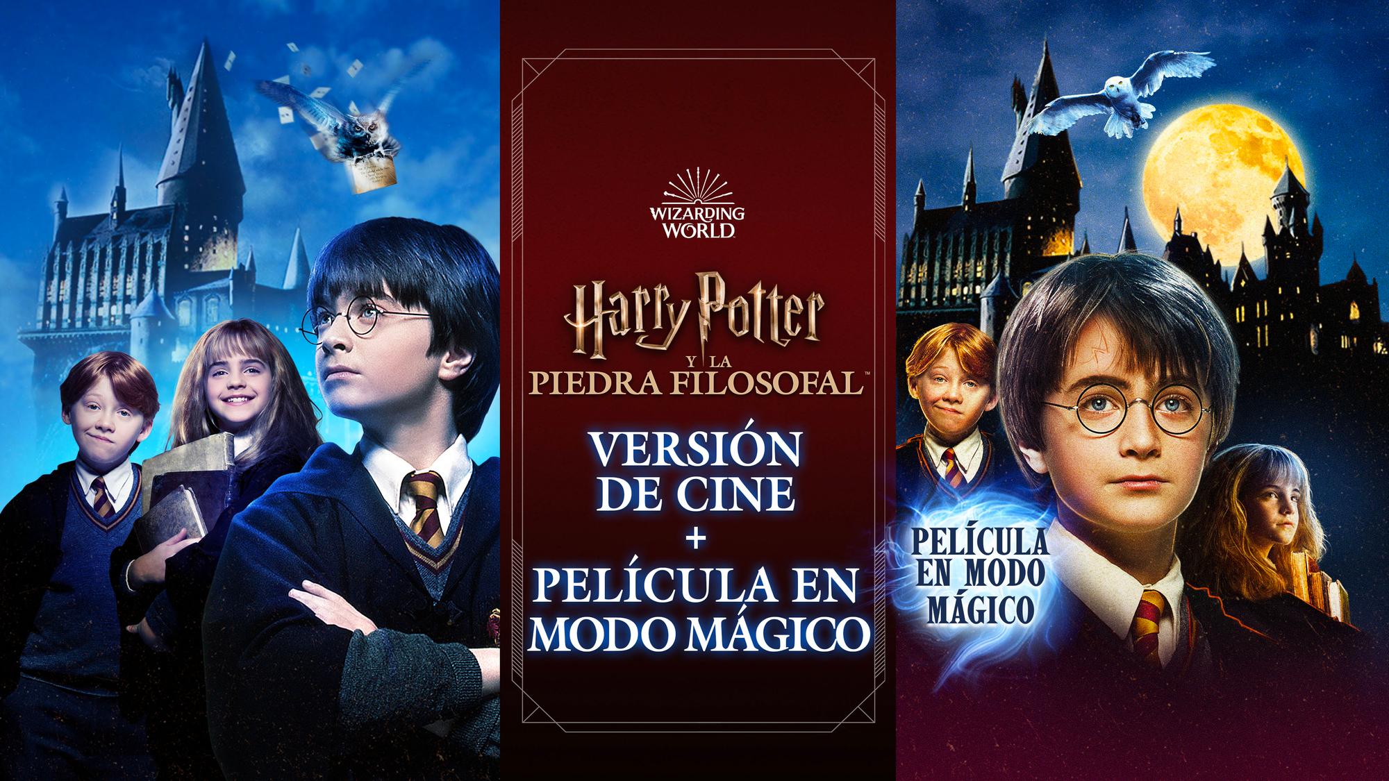 Película De Harry Potter Y La Piedra Filosofal