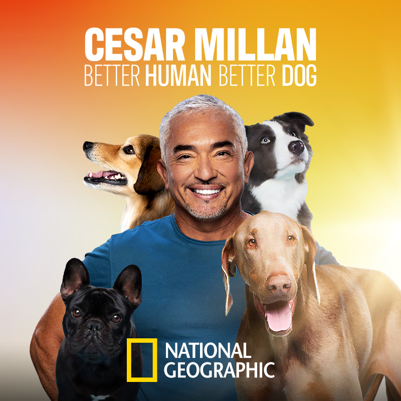 Cesar Millan It's All About Family Tour Its All About Family