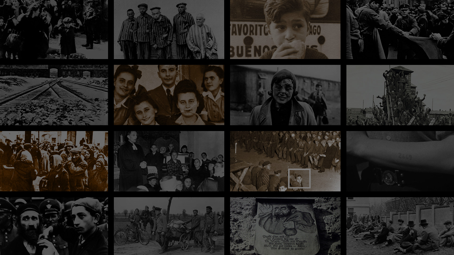 Undeniable: The Truth to Remember - Undeniable The Truth To Remember Where To Watch