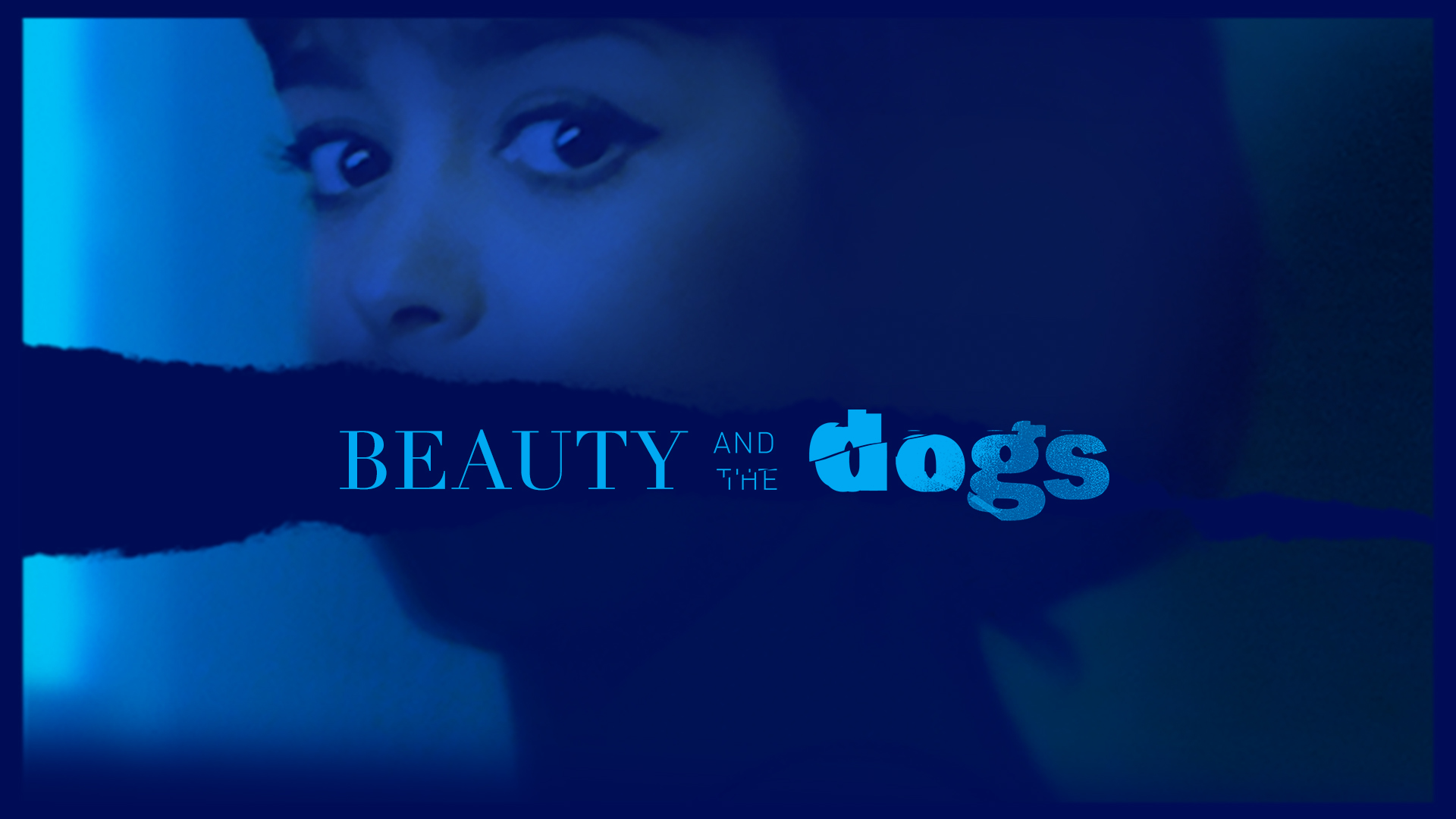 Beauty And The Dogs