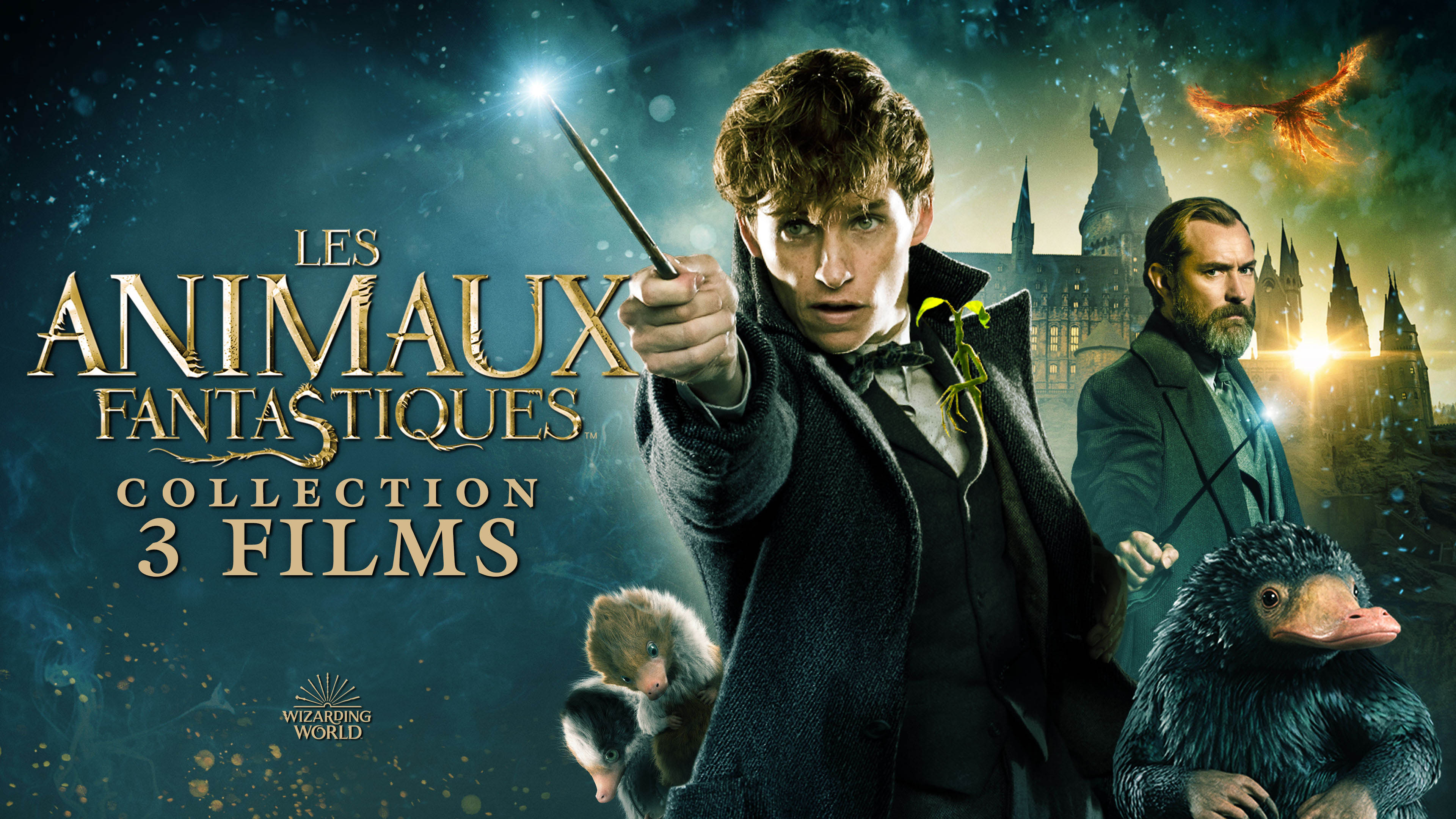 Coffret les Animaux Fantastiques 1-3