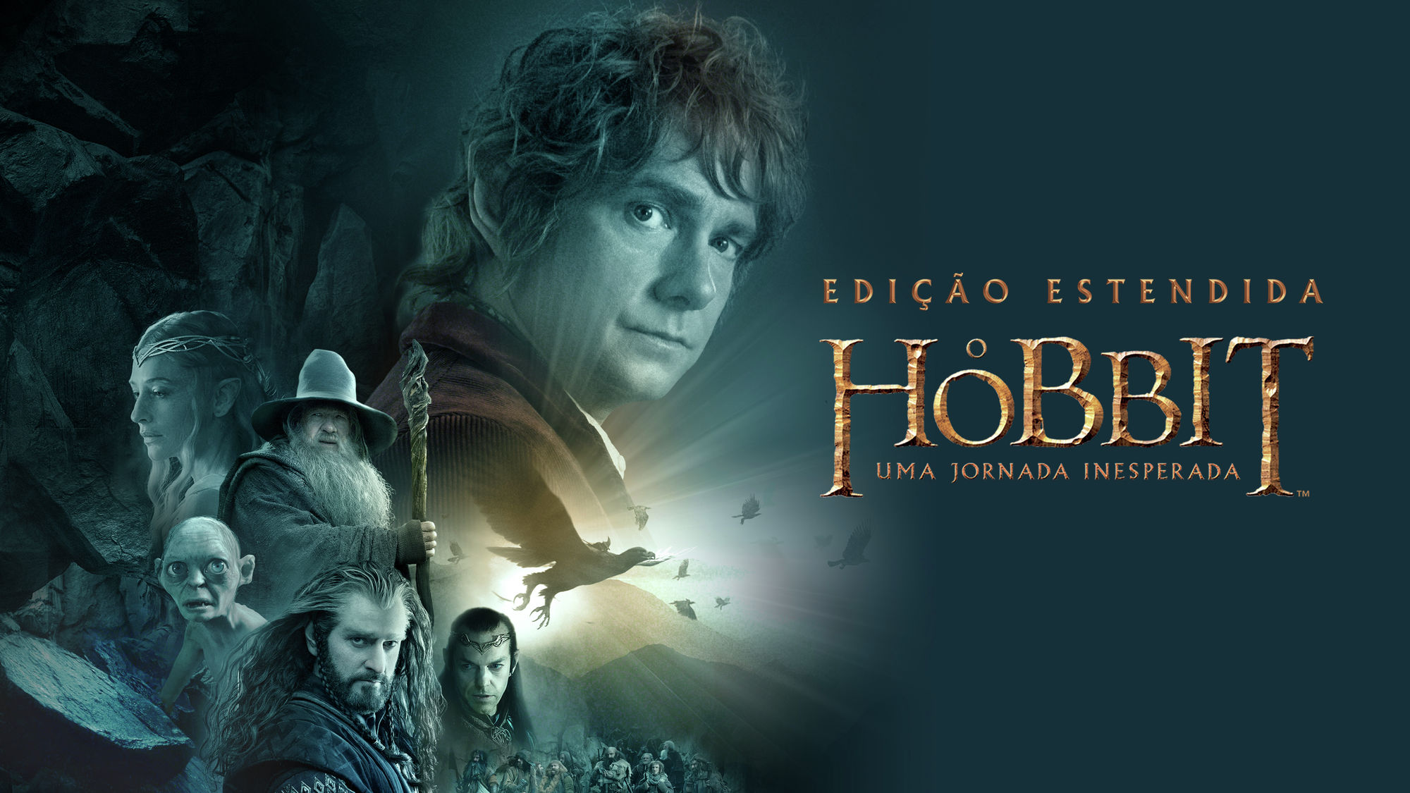 O Hobbit Uma Jornada Inesperada Kili História O Hobbit: A Mestiça