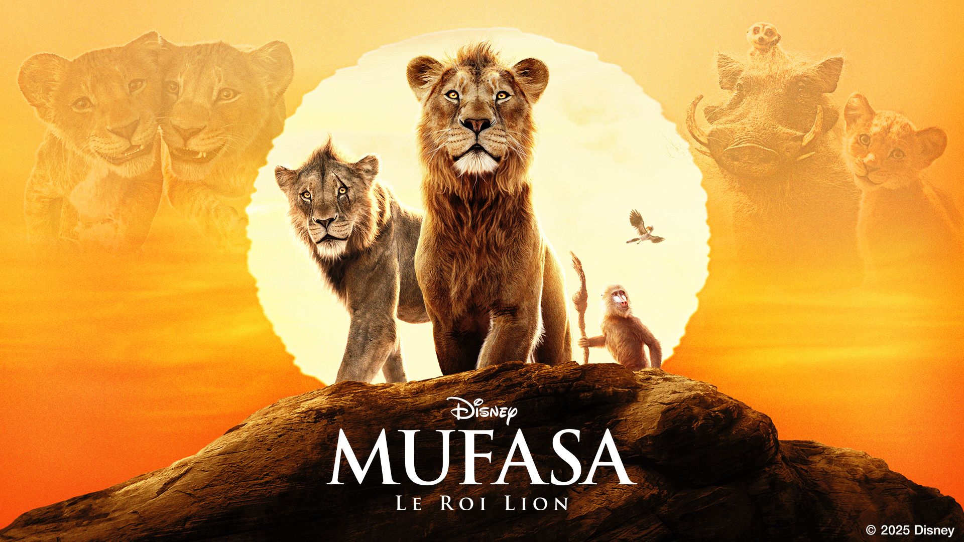 Amazon Prime The Lion King Streaming Sub Eng Animal The Lion King