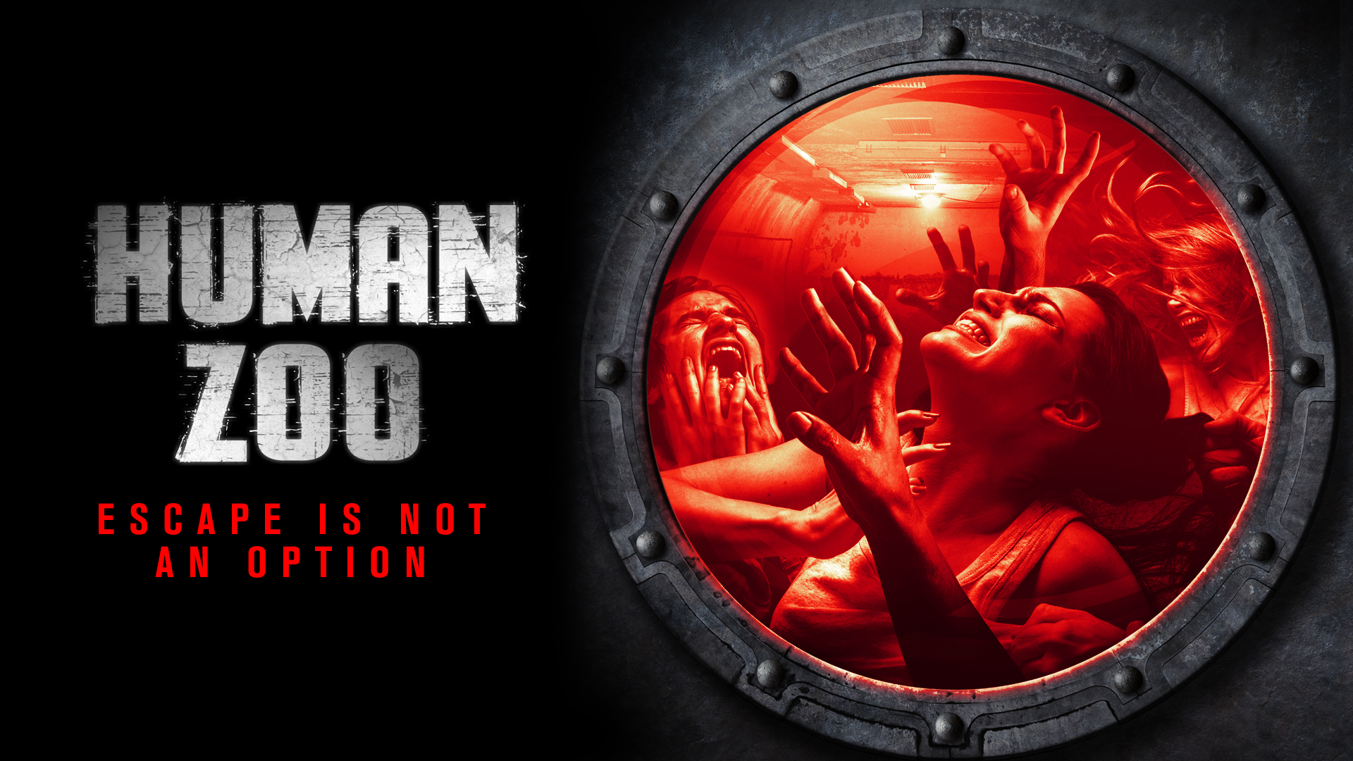 Human Zoo