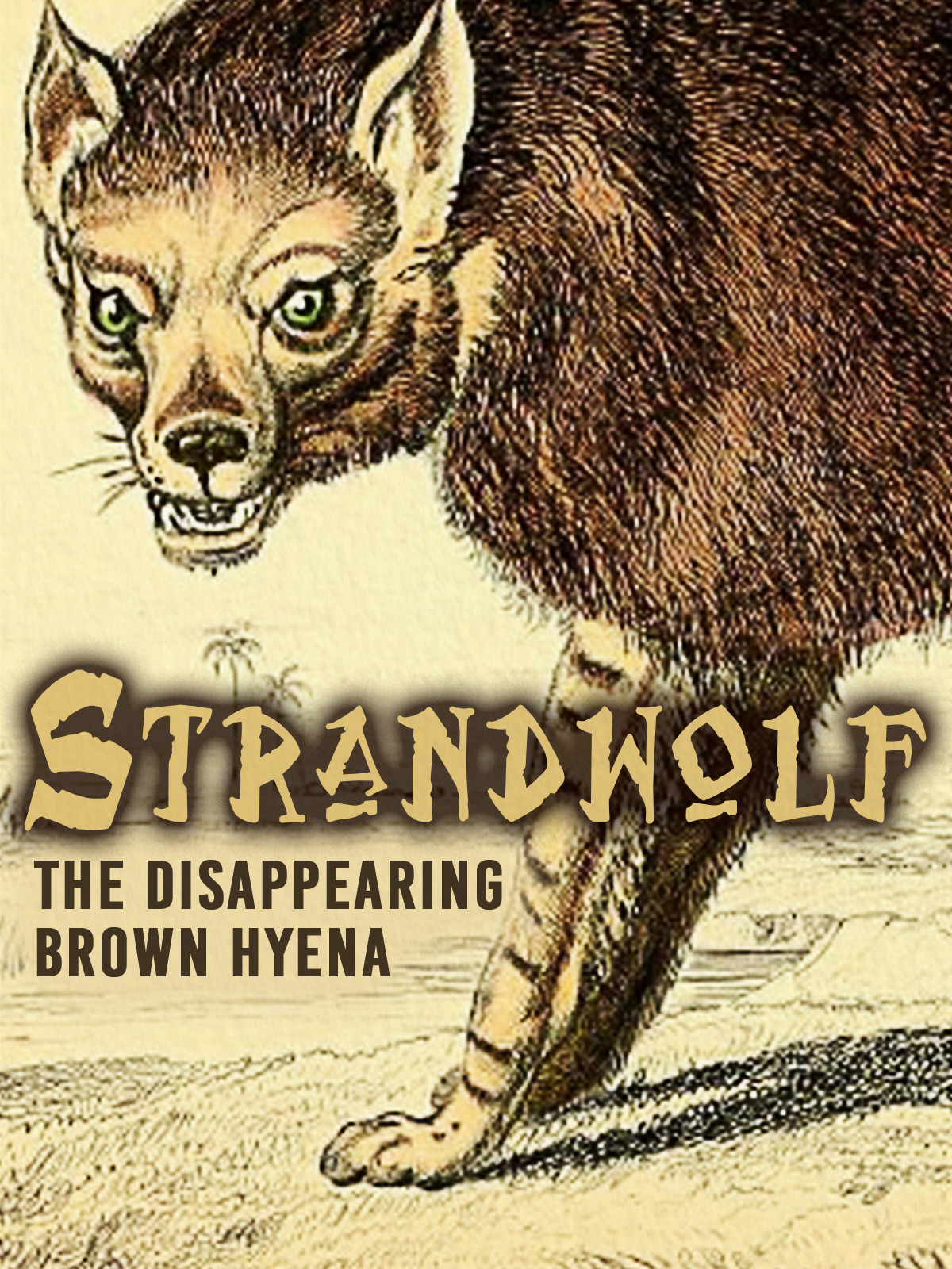 Strandwolf Ealaín Pop Sloth Pop Up Expo | Modeenagh Studio, Fermanagh | Visual