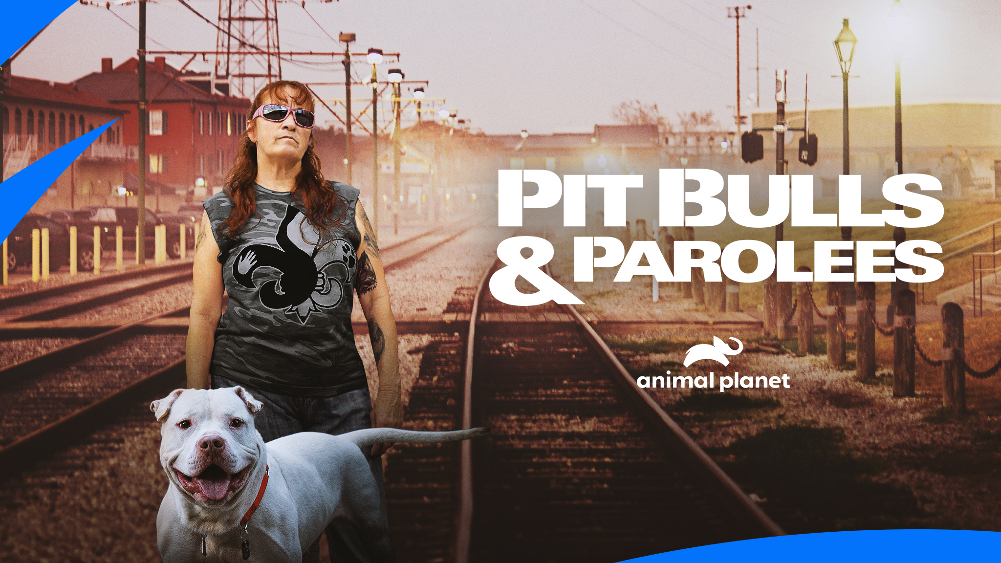 Pitbull Dog Animal Planet Pitbulls And Parolees Adoption Animal